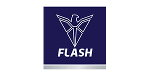 Flash electronics